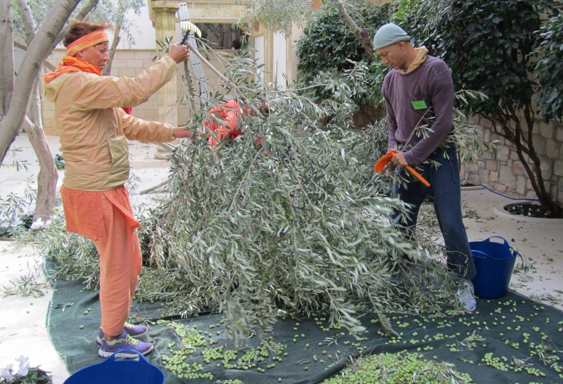 A7AAE275-A2FF-4A68-8619-4BDBE923BB9C A7AAE275-A2FF-4A68-8619-4BDBE923BB9C