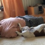 5 yoga relaxation techniques